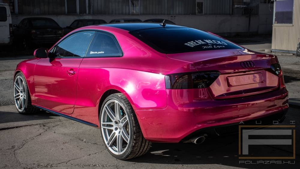 Audi F li z s Referenci k Audif li z s K pek rak