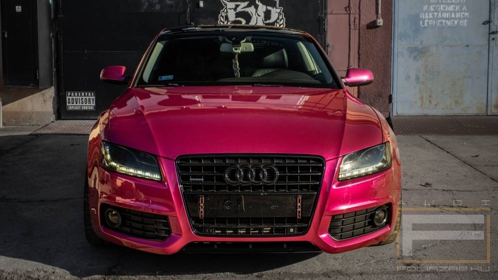Audi F li z s Referenci k Audif li z s K pek rak